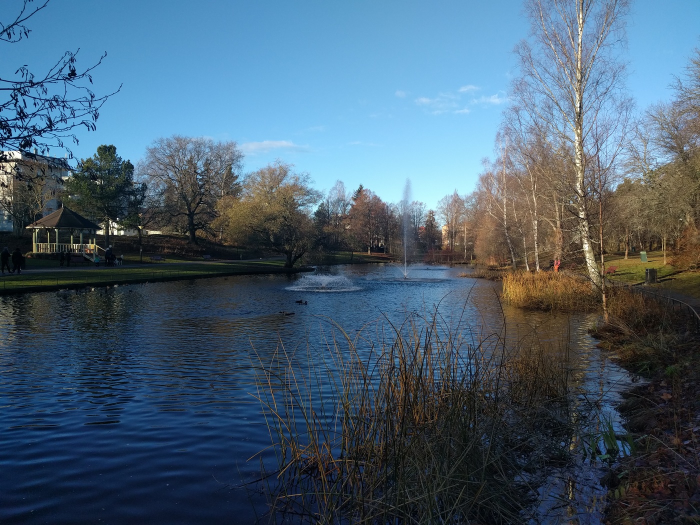 Långbroparken, höst igen